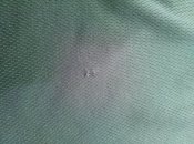 IMG_20200705_150951.jpg
