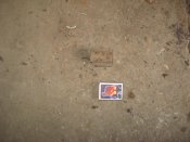 IMG_1669.jpg