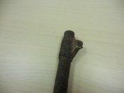 DSCN2738.JPG