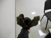 DSCN2744.JPG