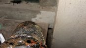 IMG_20200706_214636.jpg