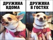 изображение_viber_2020-07-05_08-18-27.jpg