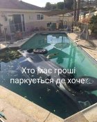 изображение_viber_2020-07-06_19-23-06.jpg