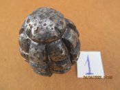 Ф-1 Польща, п"ятикубовка (1)