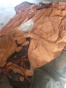 IMG_20171007_132204.jpg