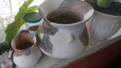 IMG_20200708_175138.jpg