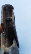 IMG_20200710_191424.jpg