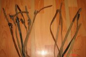 DSC01730.JPG