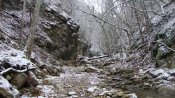 DSC06199.jpg