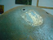 DSC00446.jpg