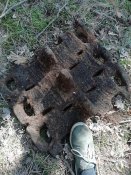 IMG_20200705_171719.jpg