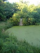 IMG_20200711_194758.jpg