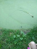 IMG_20200711_194810.jpg