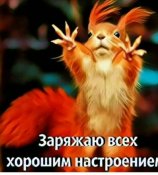 IMG-d52c8fde310fdc36753dbdc14801bc40-V.jpg