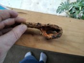 IMG_20200712_202956_1.jpg
