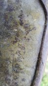 20200713_192252.jpg