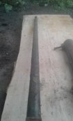 20200714_102609.jpg