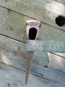 IMG_20200714_163618.jpg