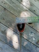 IMG_20200714_163642.jpg