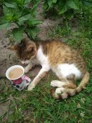IMG_20200714_131832.jpg