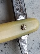 IMG_20200709_170831.jpg