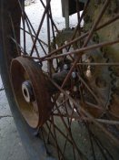 IMG_20200711_154530.jpg