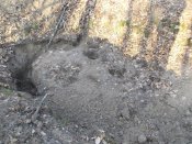 DSCN4955.jpg