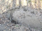 DSCN4956.jpg