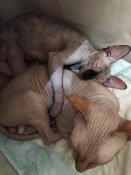 IMG_20200712_073008.jpg