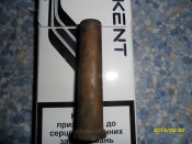 SAM_1031.jpg