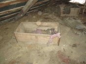 IMG_1493.jpg