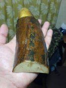 DSC00900.jpg
