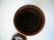 DSCN8404.jpg