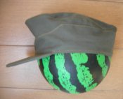 DSCN8370.jpg