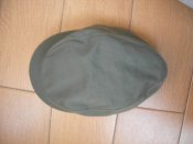 DSCN8380.jpg