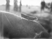 IMG_2584-Exposure 34.JPG