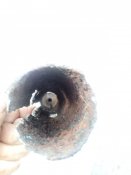 IMG_20200719_183346.jpg