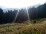 DSC01819.JPG