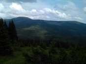 IMG_20200719_114231.jpg