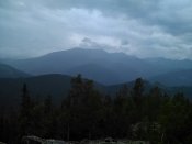 IMG_20200719_142047.jpg