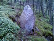 IMG_20200719_145013.jpg