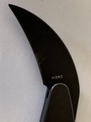 IMG_3290.JPG