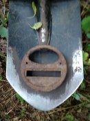 IMG_20200721_130942.jpg