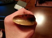 20130221_182737.jpg