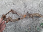 20200721_112048.jpg