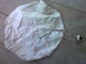 IMG03024.jpg
