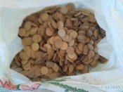 IMG_20200722_122914.jpg