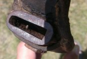 IMG_20200722_134612.jpg