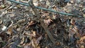 IMG_20200722_124721.jpg
