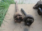 IMG_5038.JPG